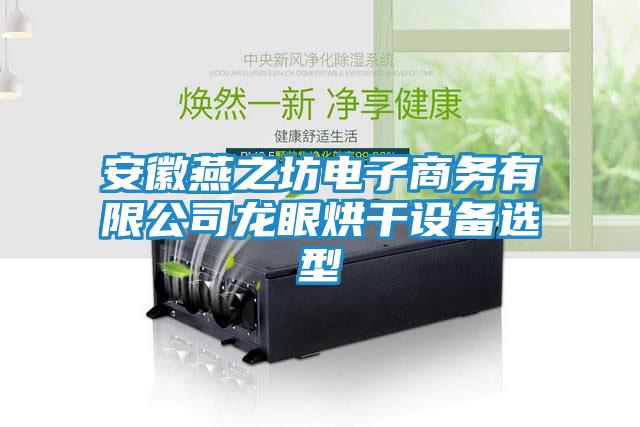 安徽燕之坊電子商務有限公司龍眼烘干設備選型