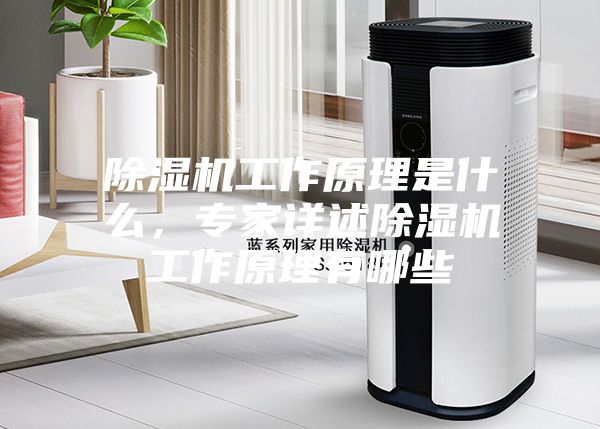 除濕機工作原理是什么，專家詳述除濕機工作原理有哪些