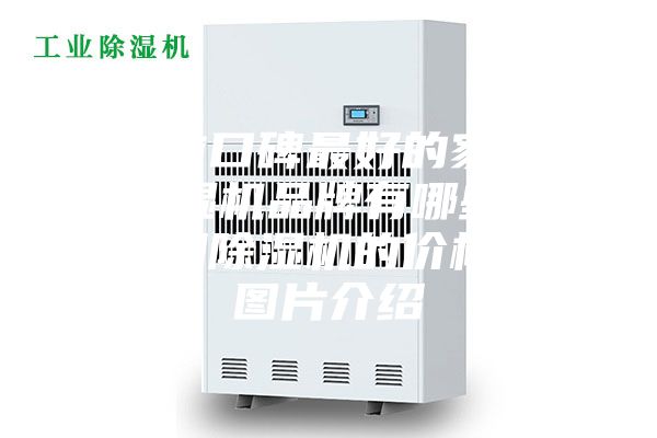 目前口碑最好的家用除濕機品牌有哪些？家用除濕機的價格和圖片介紹