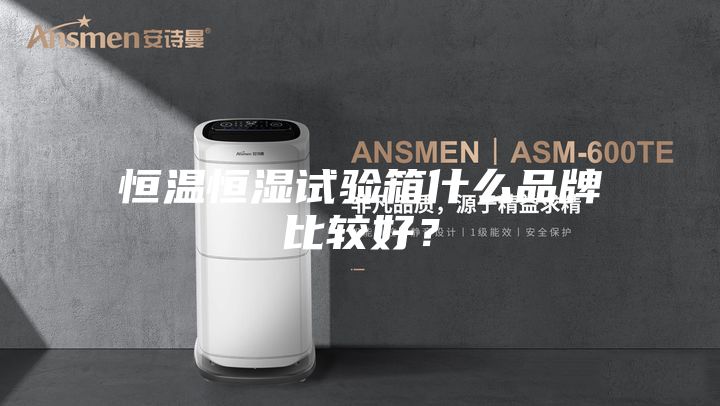恒溫恒濕試驗箱什么品牌比較好？