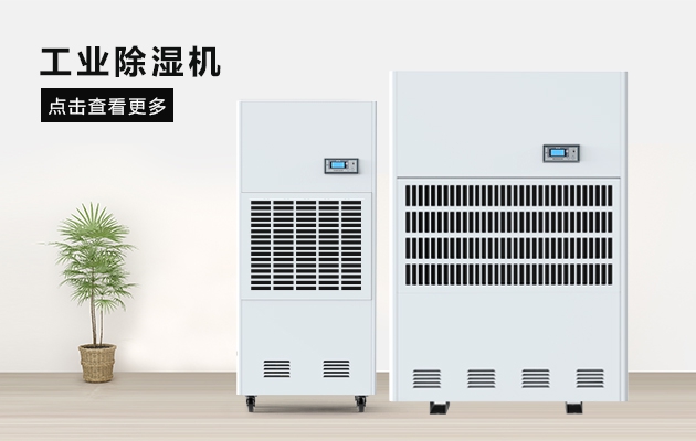 這間熱帶雨林辦公室，不潮濕不下雨還讓員工忘記了在工作