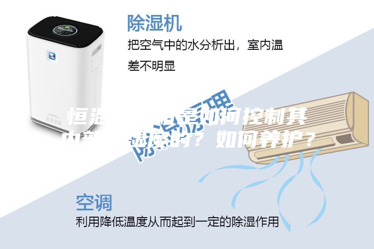 恒溫恒濕箱是如何控制其內(nèi)部溫濕度的？如何養(yǎng)護(hù)？