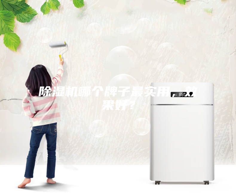 除濕機哪個牌子最實用，效果好？