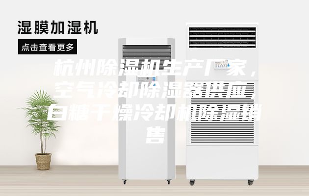 杭州除濕機生產(chǎn)廠家，空氣冷卻除濕器供應，白糖干燥冷卻機除濕銷售