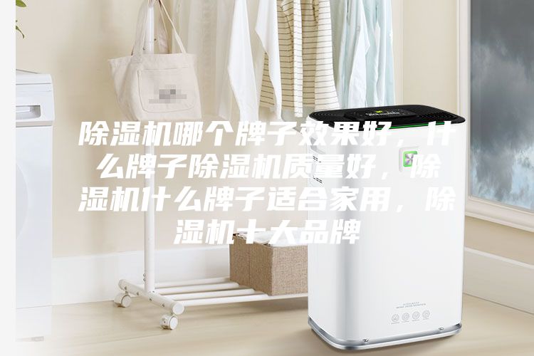 除濕機(jī)哪個牌子效果好，什么牌子除濕機(jī)質(zhì)量好，除濕機(jī)什么牌子適合家用，除濕機(jī)十大品牌