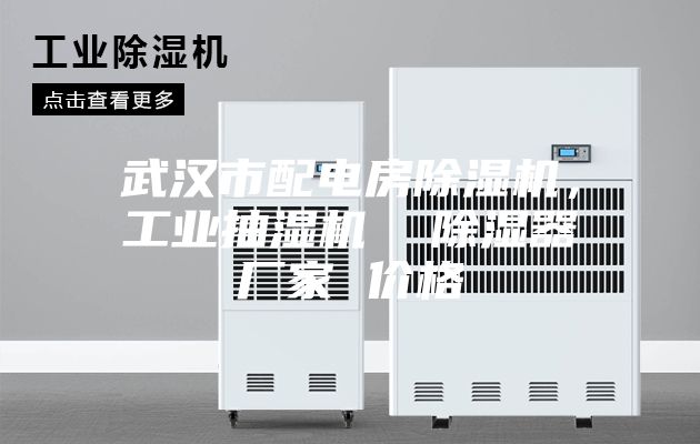 武漢市配電房除濕機(jī)，工業(yè)抽濕機(jī)  除濕器廠家 價格