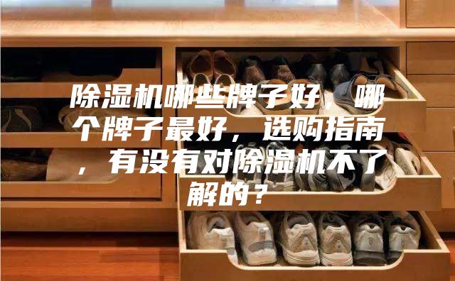 除濕機(jī)哪些牌子好，哪個(gè)牌子最好，選購(gòu)指南，有沒(méi)有對(duì)除濕機(jī)不了解的？