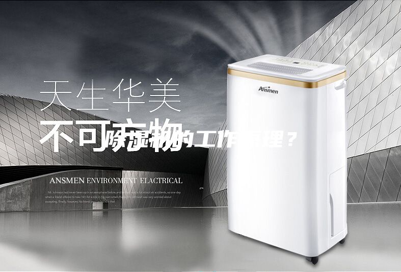 除濕機的工作原理?