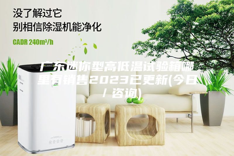 廣東迷你型高低溫試驗(yàn)箱哪里有銷(xiāo)售2023已更新(今日／咨詢)