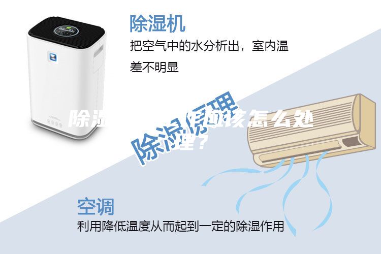 除濕機不工作應該怎么處理?