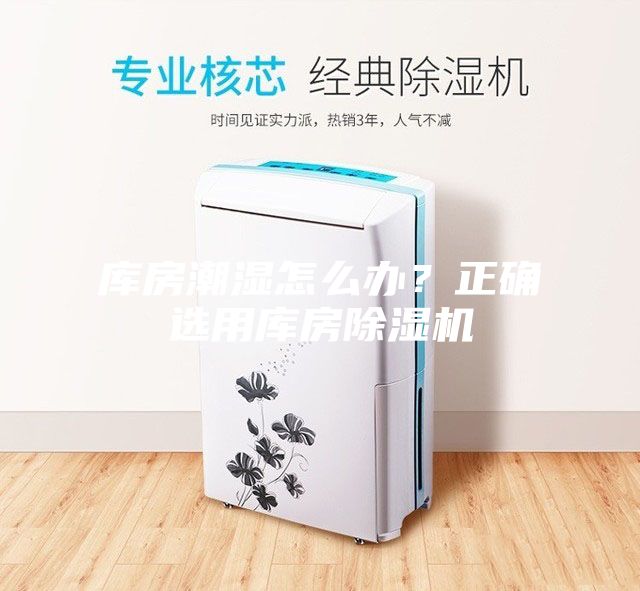 庫(kù)房潮濕怎么辦?正確選用庫(kù)房除濕機(jī)