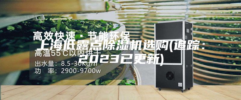 上海低露點除濕機(jī)選購(追蹤：2023已更新)
