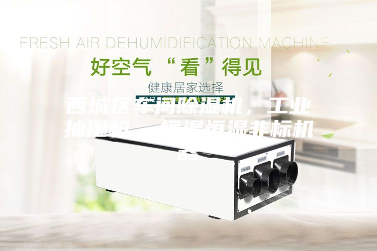 西城區(qū)車間除濕機,工業(yè)抽濕機 恒溫恒濕非標(biāo)機器