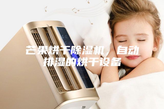芒果烘干除濕機，自動排濕的烘干設備