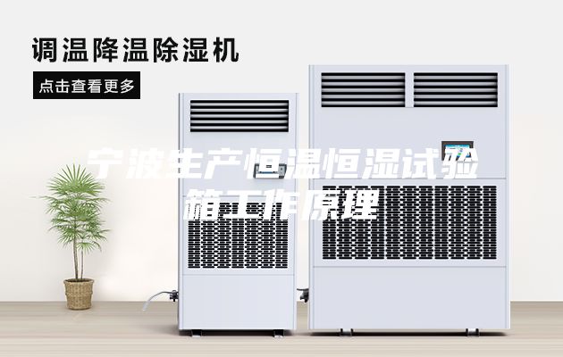 寧波生產恒溫恒濕試驗箱工作原理