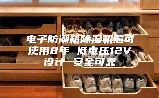 電子防潮箱除濕機(jī)芯可使用8年 低電壓12V設(shè)計(jì) 安全可靠