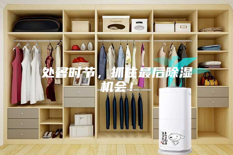 處暑時節，抓住最后除濕機會！