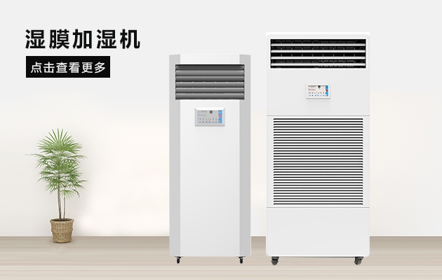 遇上回南天有什么好的除濕技巧?