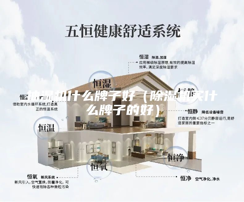 抽濕機(jī)什么牌子好（除濕機(jī)買(mǎi)什么牌子的好）