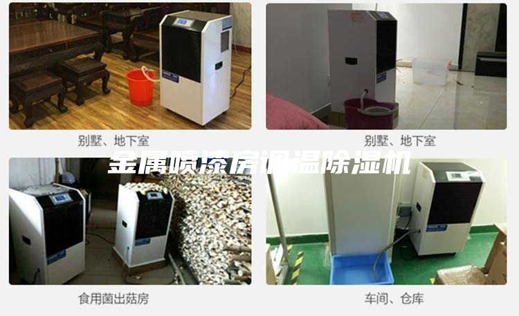 金屬?lài)娖岱空{(diào)溫除濕機(jī)