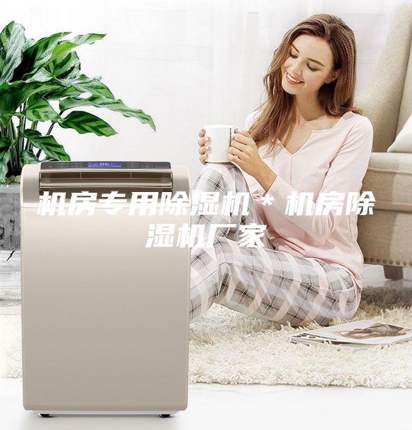 機房專用除濕機*機房除濕機廠家