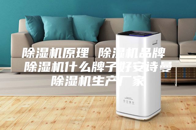 除濕機原理 除濕機品牌 除濕機什么牌子好安詩曼除濕機生產廠家