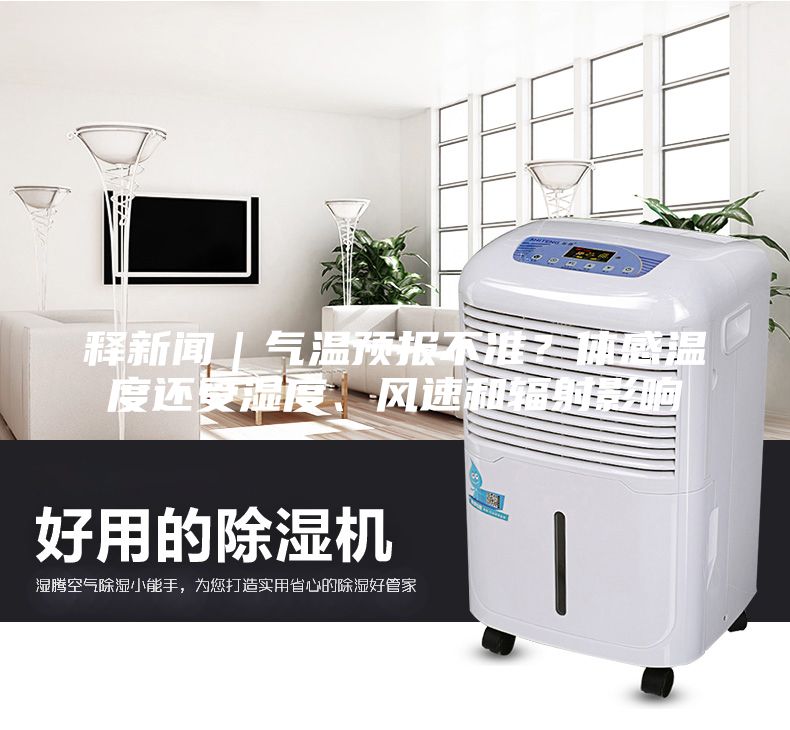 釋新聞|氣溫預報不準?體感溫度還受濕度、風速和輻射影響