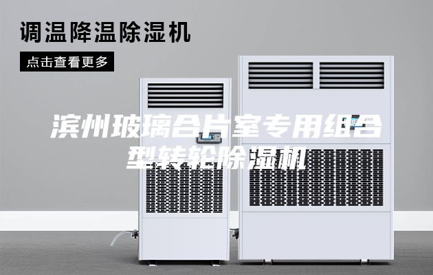 濱州玻璃合片室專用組合型轉(zhuǎn)輪除濕機(jī)