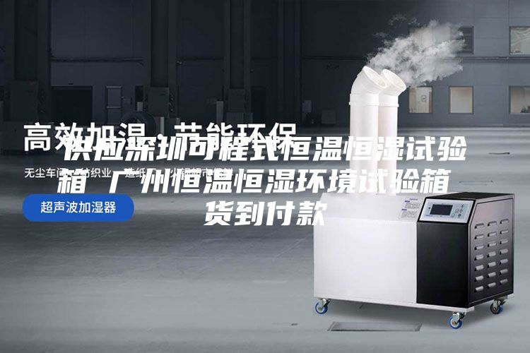 供應(yīng)深圳可程式恒溫恒濕試驗(yàn)箱 廣州恒溫恒濕環(huán)境試驗(yàn)箱 貨到付款