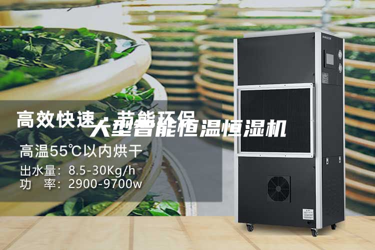 大型智能恒溫恒濕機