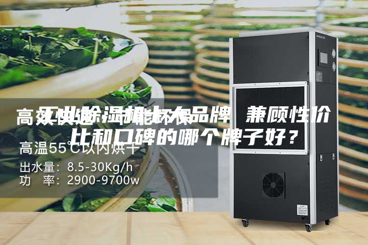 工業(yè)除濕機(jī)十大品牌 兼顧性價(jià)比和口碑的哪個(gè)牌子好?
