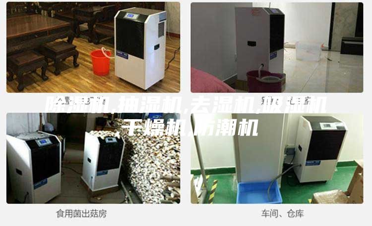 除濕機(jī),抽濕機(jī),去濕機(jī),吸濕機(jī),干燥機(jī),防潮機(jī)