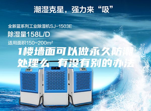 1樓墻面可以做永久防潮處理么 有沒(méi)有別的辦法