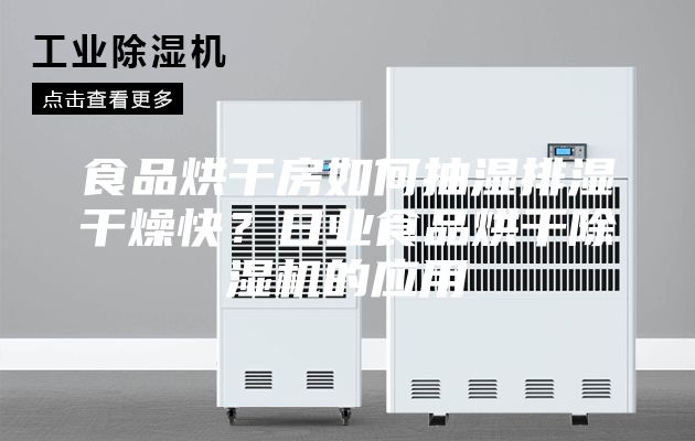 食品烘干房如何抽濕排濕干燥快？日業(yè)食品烘干除濕機(jī)的應(yīng)用