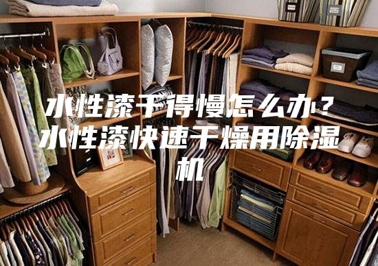 水性漆干得慢怎么辦？水性漆快速干燥用除濕機(jī)