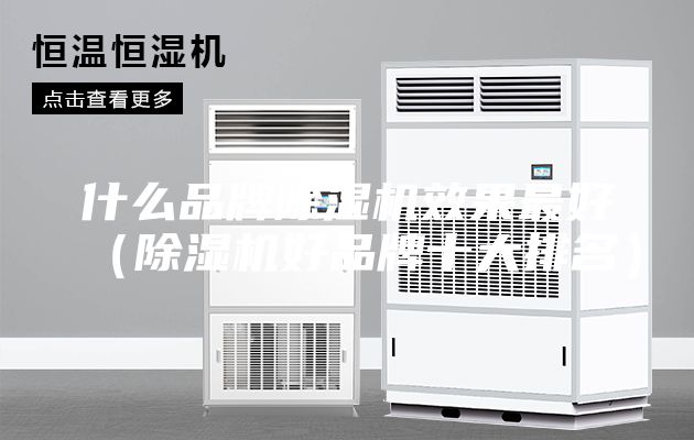 什么品牌除濕機效果最好（除濕機好品牌十大排名）