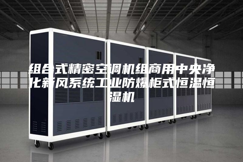 組合式精密空調(diào)機組商用中央凈化新風(fēng)系統(tǒng)工業(yè)防爆柜式恒溫恒濕機