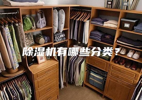 除濕機(jī)有哪些分類?