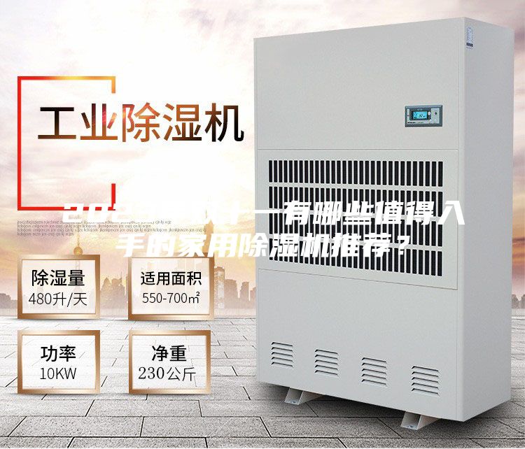 2023年雙十一有哪些值得入手的家用除濕機推薦？