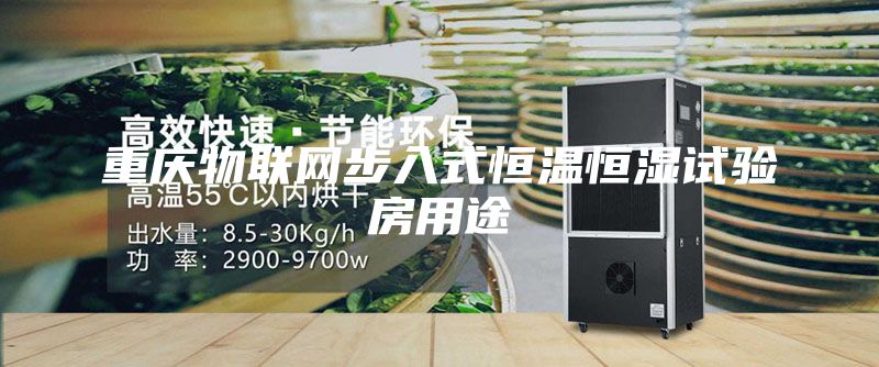 重慶物聯網步入式恒溫恒濕試驗房用途