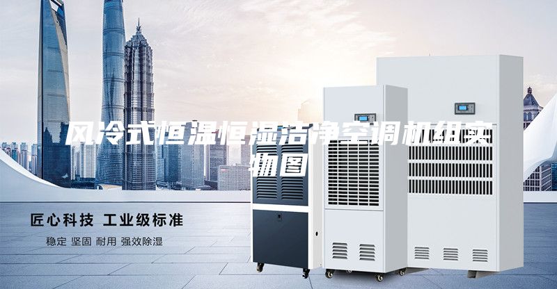 風(fēng)冷式恒溫恒濕潔凈空調(diào)機(jī)組實(shí)物圖