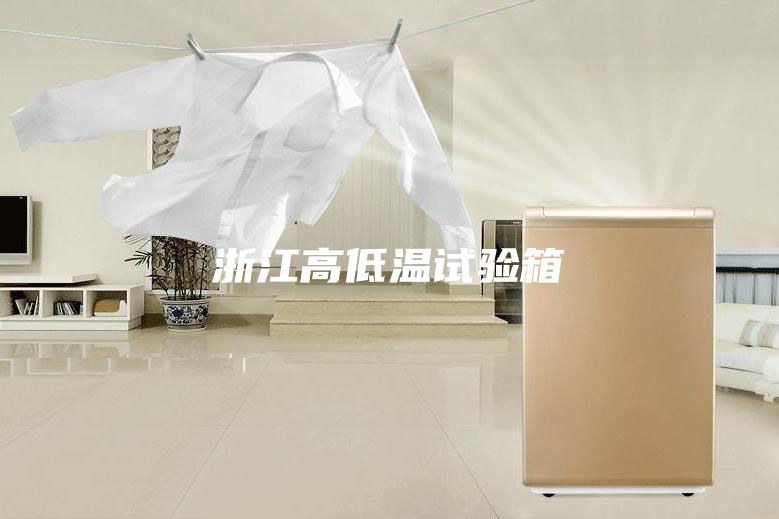 浙江高低溫試驗箱