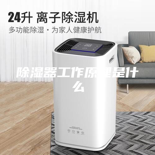 除濕器工作原理是什么