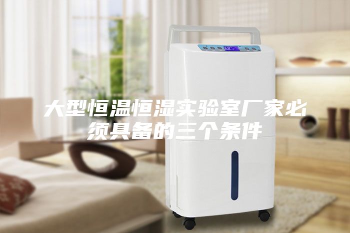 大型恒溫恒濕實(shí)驗(yàn)室廠家必須具備的三個(gè)條件