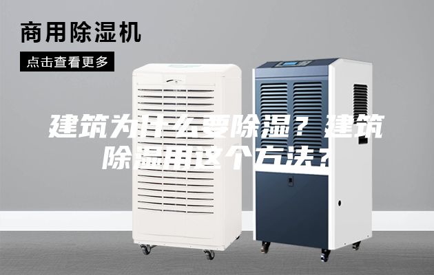 建筑為什么要除濕？建筑除濕用這個方法？