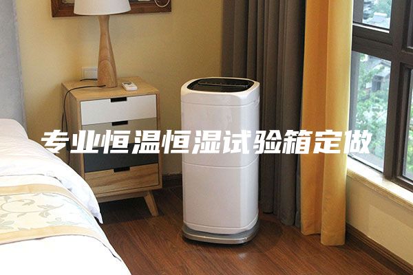 專業(yè)恒溫恒濕試驗箱定做