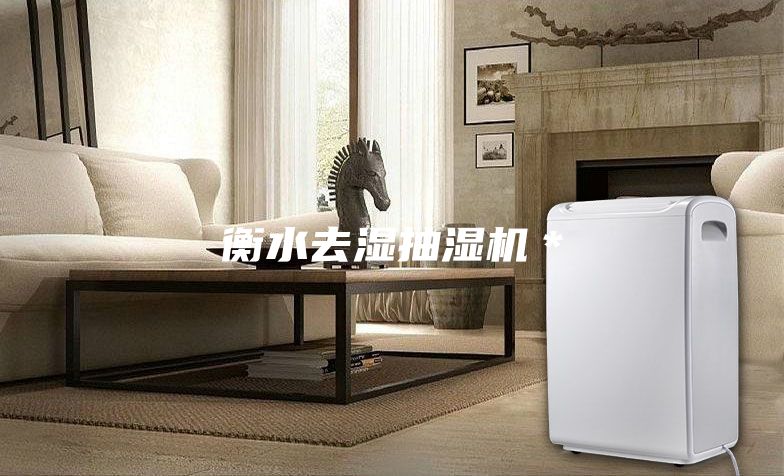 衡水去濕抽濕機*