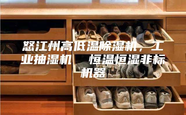 怒江州高低溫除濕機(jī)，工業(yè)抽濕機(jī)  恒溫恒濕非標(biāo)機(jī)器