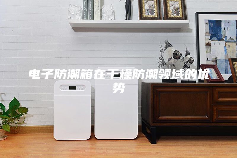 電子防潮箱在干燥防潮領(lǐng)域的優(yōu)勢(shì)