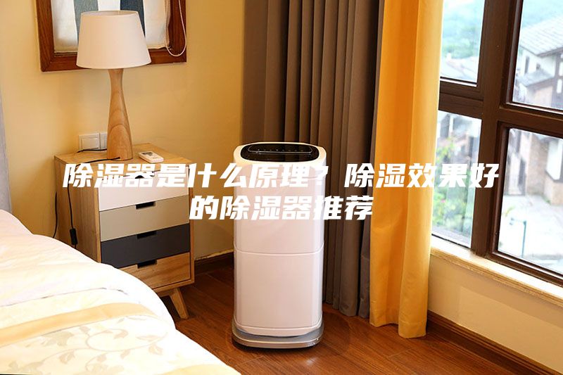 除濕器是什么原理?除濕效果好的除濕器推薦